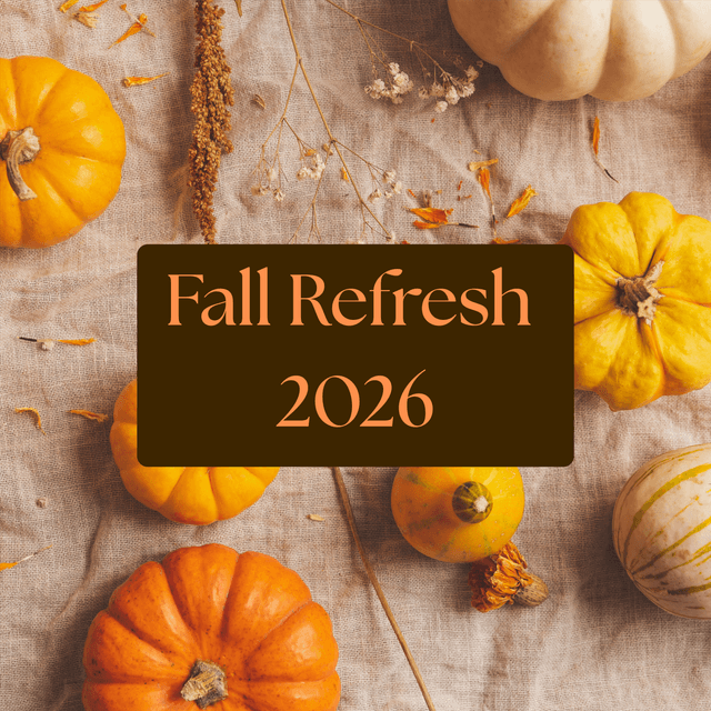 Fall Refresh at Lacy Allen in Boise, ID